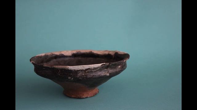 Рабрыстая місачка