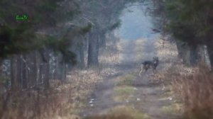 БЕЛАРУСЬ   ИНТЕРЕСНЫЕ ФАКТЫ О СТРАНЕ!