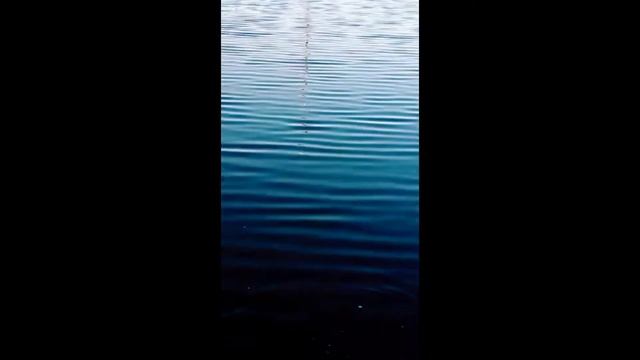 Душа поёт когда клюёт!! Рыбалка на удочку. смотреть онлайн