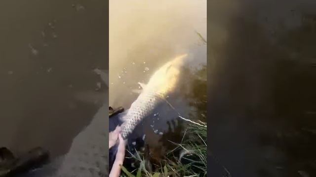 j&j fishing смотреть онлайн