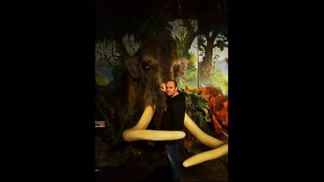 Новый год 2014 в Питере