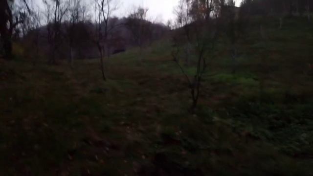 Горы,⛰️Босния.🏞️Сумерки.🌛 Печь в домике у опушки леса.🔥, Размышления о том, о сём...😏. , смотреть онлайн