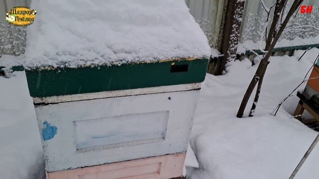 зимовка пчел, хорошая зимовка, как настроил вентиляцию в этом году смотреть онлайн