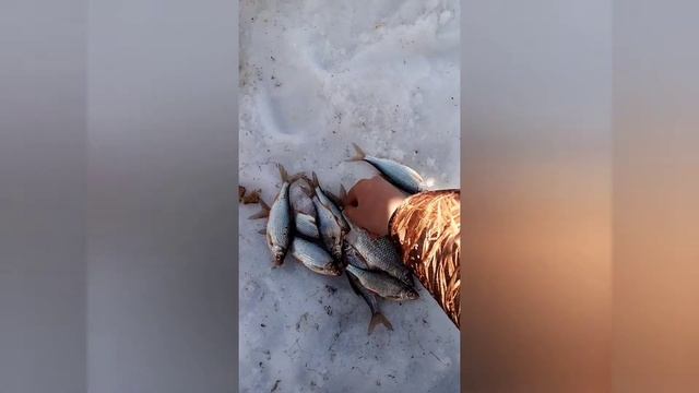 Рыбалка на таежном озере.