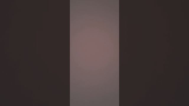 Исторический экскурс. И.В. Сталин "Краткий курс истории ВКП(б) вып.8 #ленин #сталин #историяссср смотреть онлайн