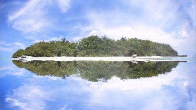 «Живые видео обои»907652412 смотреть онлайн