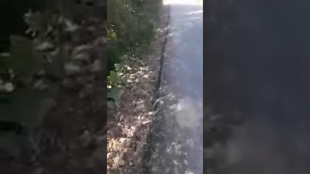 Кара Көл ДЭУнун кылган иши Ничке Сай айылы