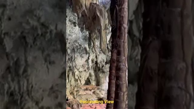 Lagoon In The Middle Of The Forest