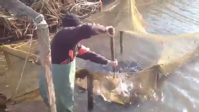 Кировоград. Красный Кут смотреть онлайн