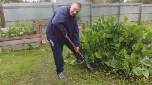 Вкусно Жить