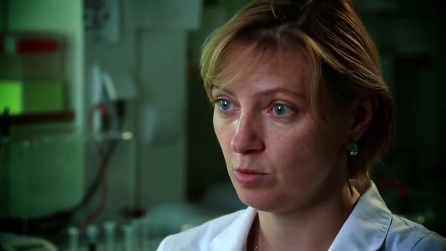 0084. НАУКА 2.0. БОЛЬШОЙ СКАЧОК. Иммунитет смотреть онлайн
