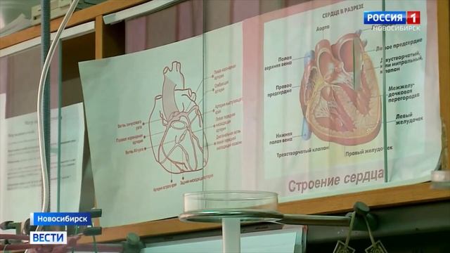 Учёные Новосибирска смотреть онлайн