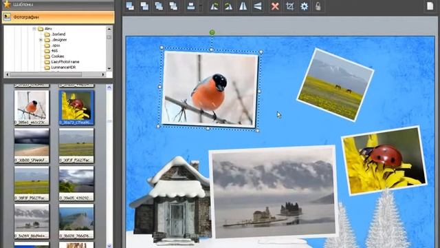 Как создать фотоколлаж в программе «ФотоКОЛЛАЖ» смотреть онлайн