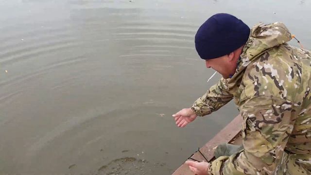 Платный водоём. Рыбалка удалась. Платный пруд