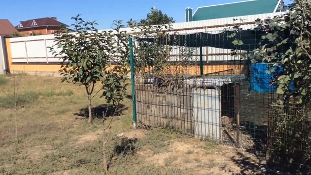 Рассуждения в слух . смотреть онлайн