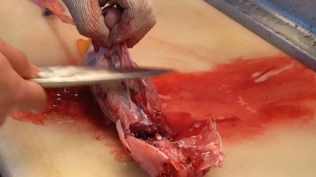 A Sushi Restaurant With An Ocean View! The Best Sushi Craftsmanship. 寿司 鮨 海の彩