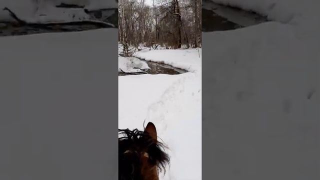 Ат-ер қанаты