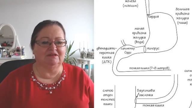 После 18 есть нужно. Правильная еда на ночь предотвращает образование камней в желчном пузыре. смотреть онлайн