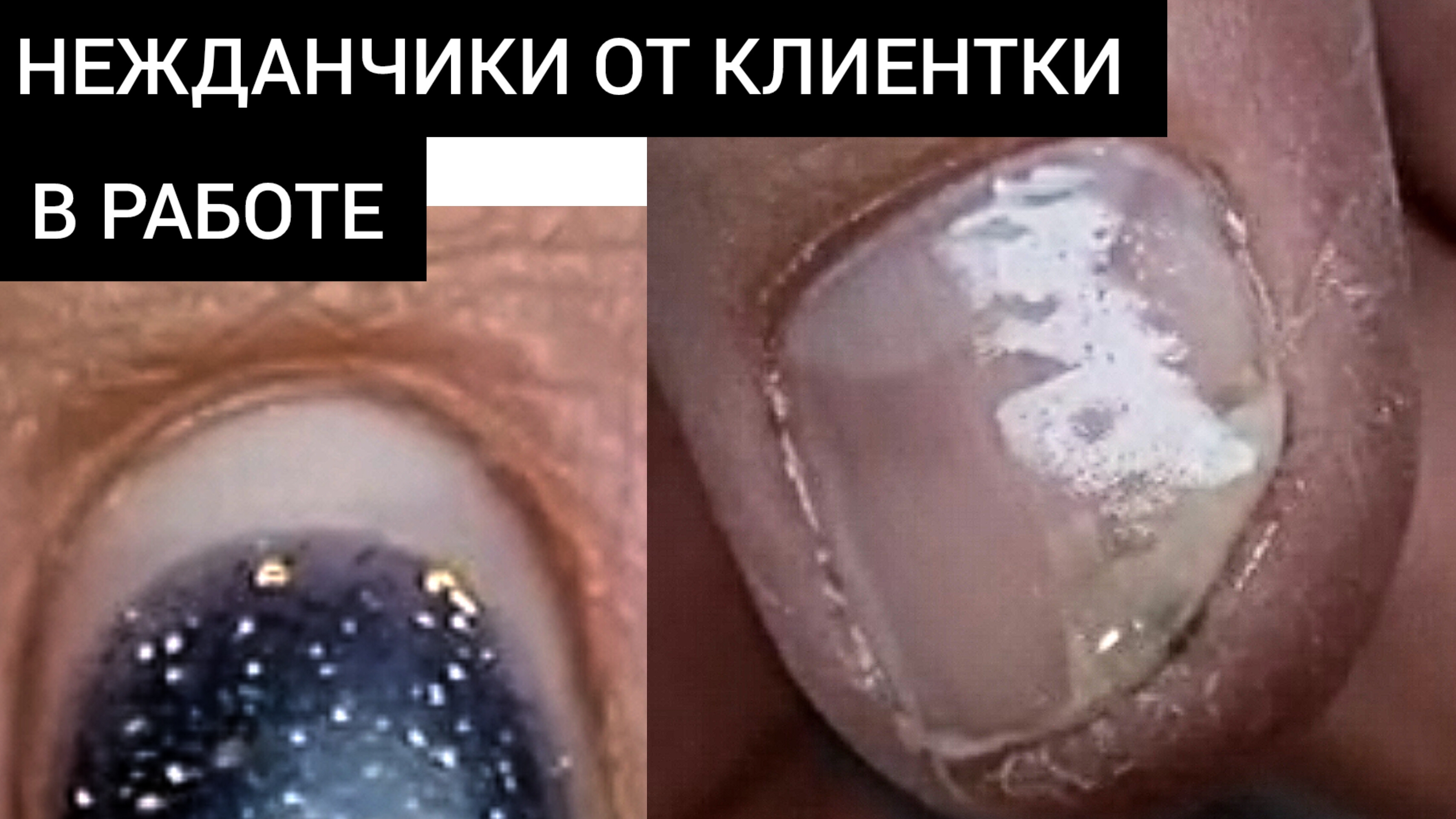 получилась ПЛЕСЕНЬ под БЛЕСТКАМИ