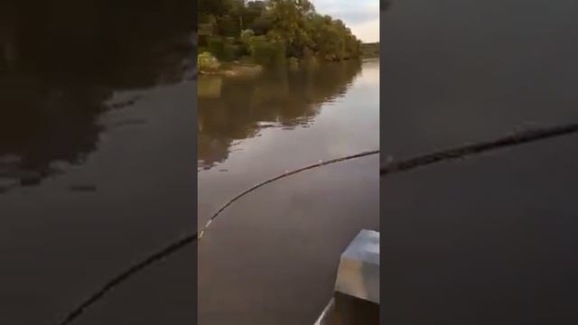 Ловля сома на спиненг смотреть онлайн