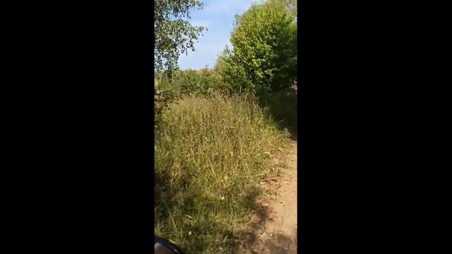 Fazer ys250, Поездка по лесу и грязи / Fazer ys250, A trip through the forest and mud смотреть онлайн