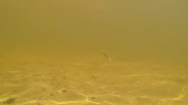 Виброхвост Mikado REAL FISH PERCH