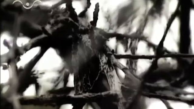 Моя Третьяковка. Единство спаянное любовью смотреть онлайн