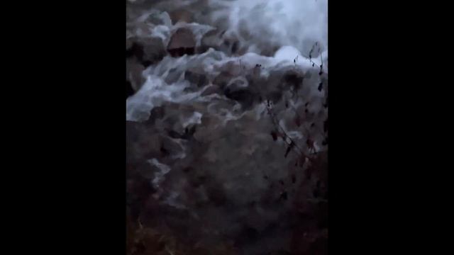 Первая ночевка в гамаке на поляне Терра, Алматы смотреть онлайн