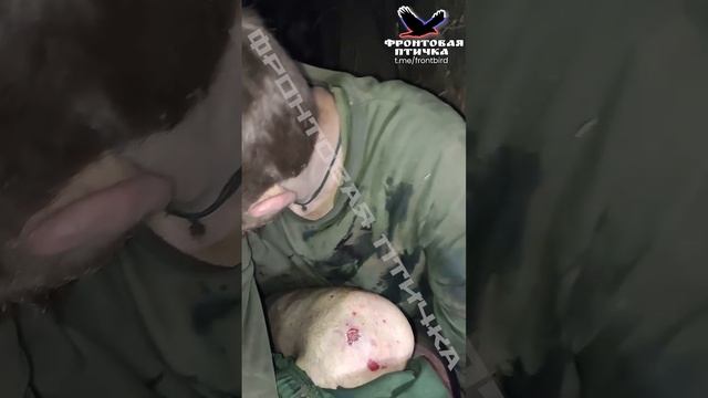 Пленная свинья под кайфом. Фамилия? Что такое фамилия? смотреть онлайн