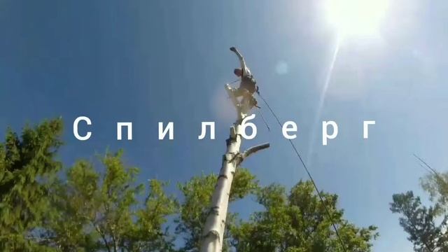 Арбористы города на Неве. смотреть онлайн