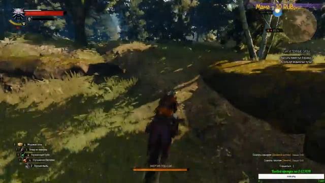 Ведьмак 3 Дикая Охота продолжение #6