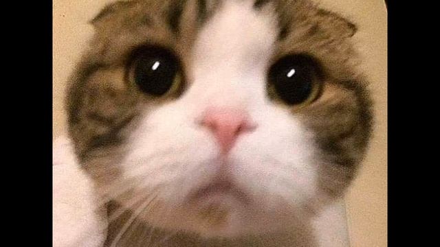 No other heart - Mac Demarco (cover) смотреть онлайн