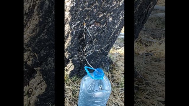 Завтра открытие охоты смотреть онлайн