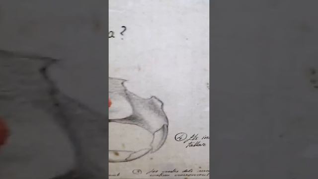 COSMOCAIXA BARCELONA смотреть онлайн