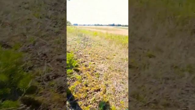 Охота на вяхиря смотреть онлайн