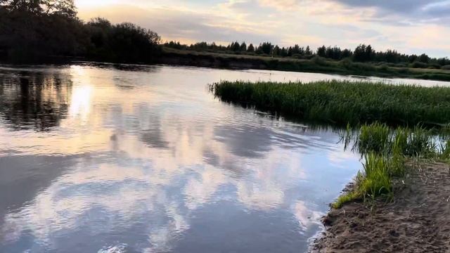 Рыбалка на Березине 16.07.2022 смотреть онлайн