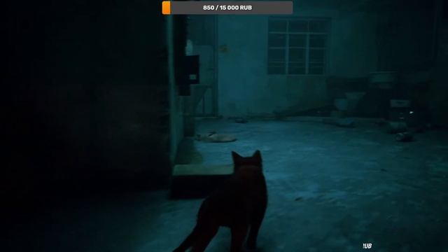 STRAY///STREAM///ПРОХОЖДЕНИЕ-1