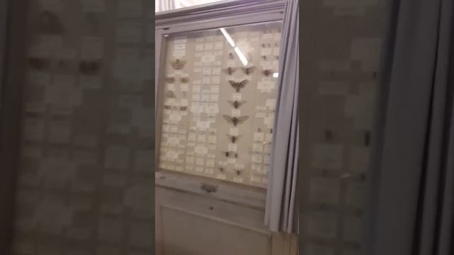 Экскурсия в музей