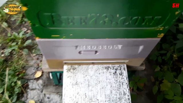 пчеловодство, предпоследние работы на пасеке смотреть онлайн