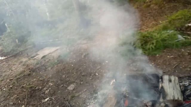 Ловим крупного окуня смотреть онлайн