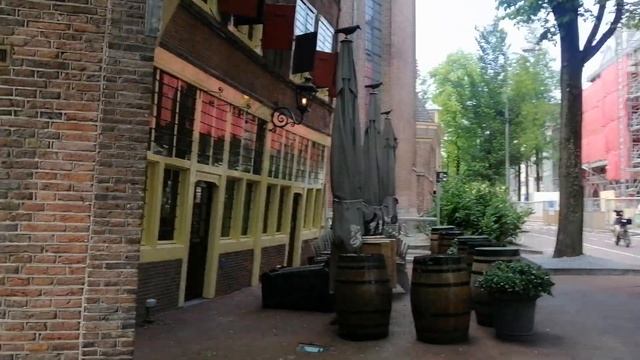 Коты лучшие друзья Амстердамцев.#Амстердам#Нидерланды#Туризм#Гид#экскурсииамстердам смотреть онлайн