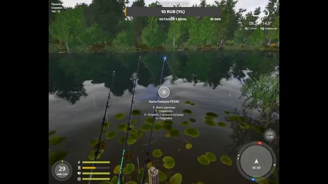 СТРИМ💥 ВЫПОЛНЯЕМ КВЕСТЫ  РУССКАЯ РЫБАЛКА 4 🐟Юбилейные Задание Палия Обыкновенная