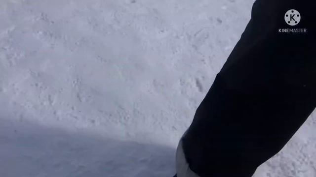 24 Часа из жизни на Красной поляне (Застряли на канадке) смотреть онлайн