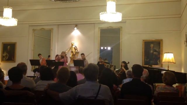 Vienna, opera смотреть онлайн