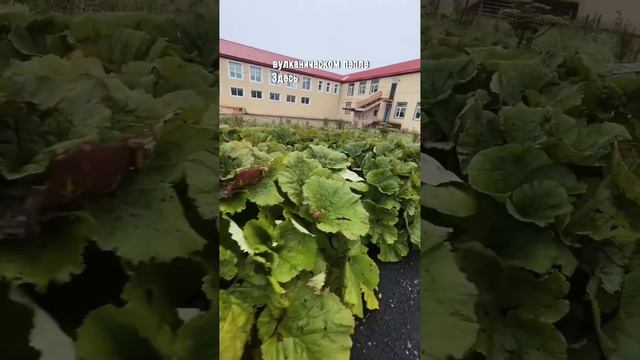 Как живут люди на Курильских островах? смотреть онлайн