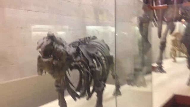 Вокруг динозавра смотреть онлайн