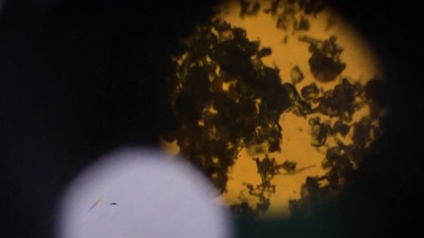 Фармацевтический завод MEITANGreen