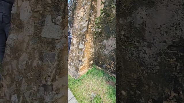 Неизведанная Шри-ланка. Часть 2 #srilanka #шриланка #бентота #унаватуна