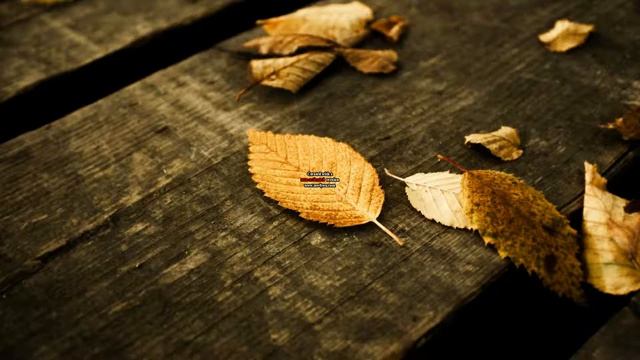 Amazing wallpaper with opera... смотреть онлайн