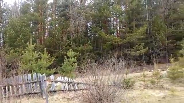 Скинни Боди кеа На дачу ездим отдыхать! Обожаю баню!!!! смотреть онлайн